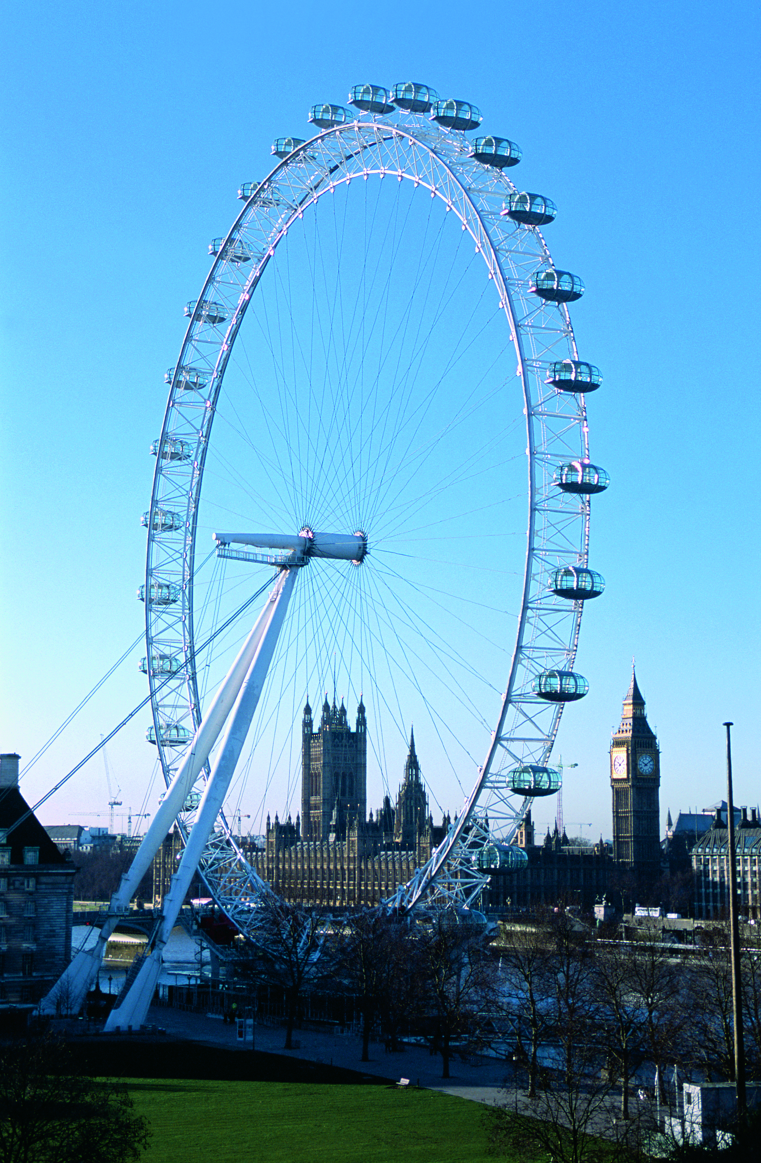 London Eye portrait view