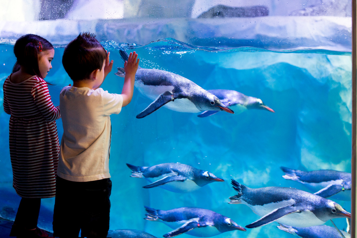 Kids at SEA LIFE London Aquarium